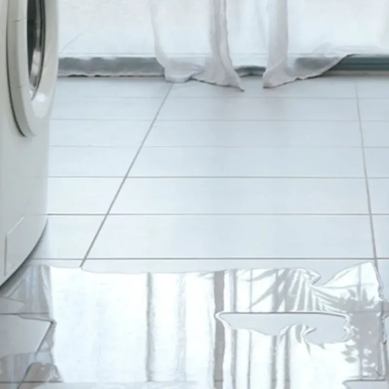 Appliance Leak Cleanup in Constantine, MI