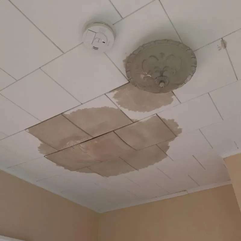 Ceiling Water Damage Repair in Constantine, MI