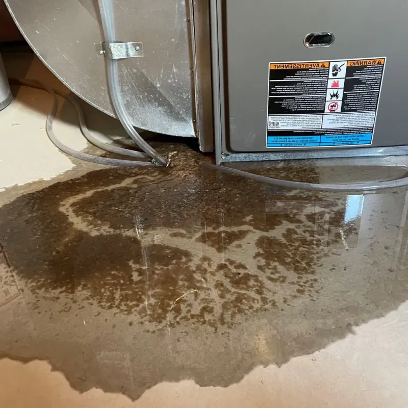 Pipe Burst and Leak Restoration in Constantine, MI