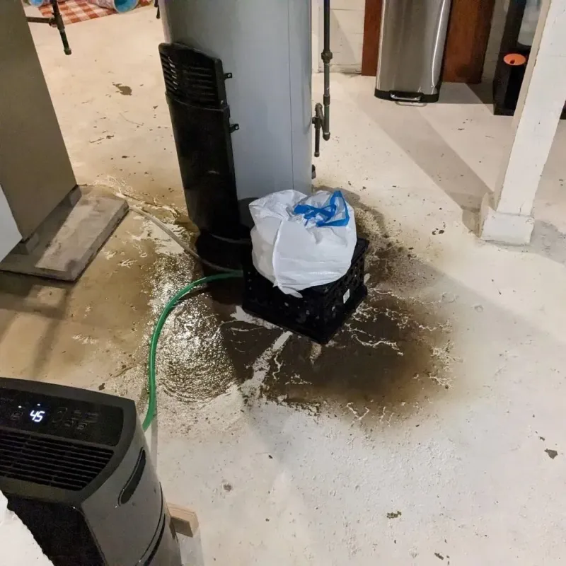 Sewage Backup Cleanup Service in Constantine, MI
